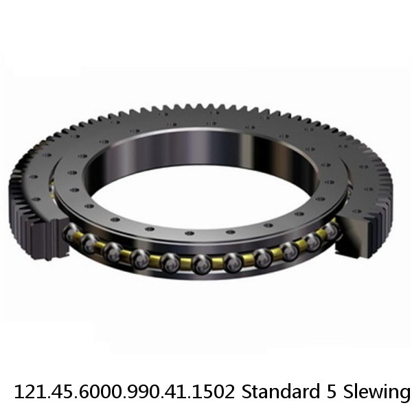 121.45.6000.990.41.1502 Standard 5 Slewing Ring Bearings