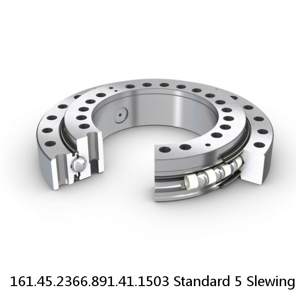 161.45.2366.891.41.1503 Standard 5 Slewing Ring Bearings
