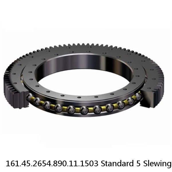 161.45.2654.890.11.1503 Standard 5 Slewing Ring Bearings #1 small image