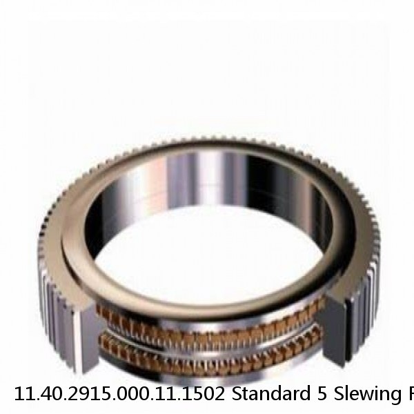 11.40.2915.000.11.1502 Standard 5 Slewing Ring Bearings #1 small image
