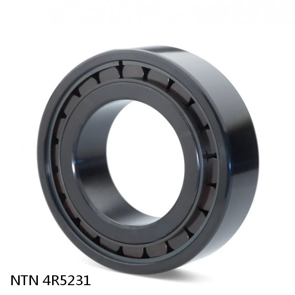 4R5231 NTN Cylindrical Roller Bearing #1 small image