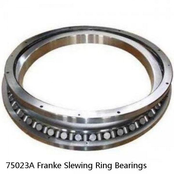 75023A Franke Slewing Ring Bearings #1 image