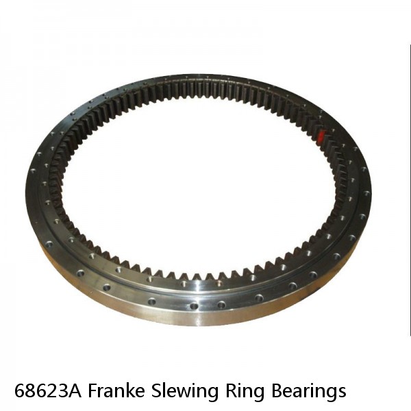 68623A Franke Slewing Ring Bearings #1 image